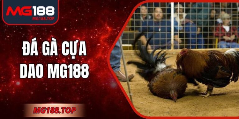 Đá Gà Cựa Dao Mg188 – Theo Dõi Trực Tiếp Chi Tiết Trận Đấu