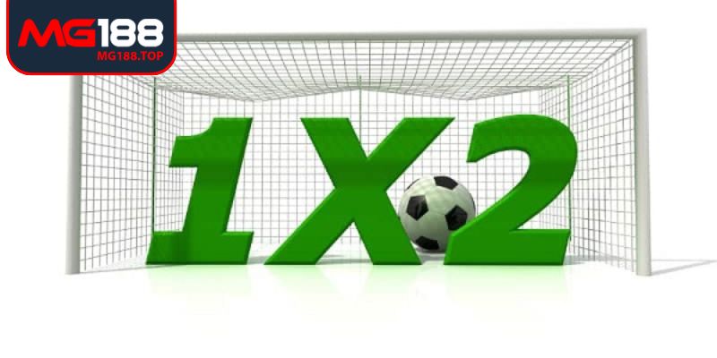 Thông tin tổng quan về kèo 1X2 Mg188