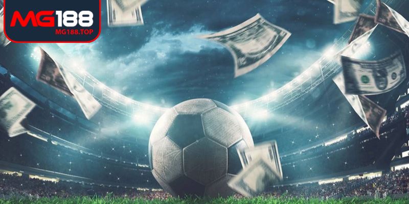 Hệ thống kèo phong phú thả hồn cá cược