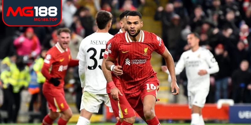 Áp dụng kinh nghiệm soi cầu bóng đá hiệu quả để tăng cơ hội thắng